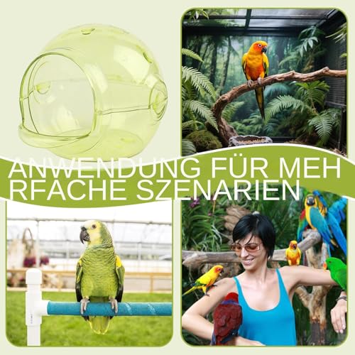 Nichoir transparent pour perruches et canaris avec fixation cage