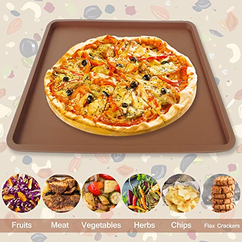 6Pcs Silicone Dehydrator Mats With Edge For 14" X 14" Trays Compatible With Excalibur Dehydrator, - Nonstick Silicone Drye Sheets Multi-Purpose Reusable For Jerky, Fruit, Meat, Herbs, Vegetables, Cracker… #TOP5