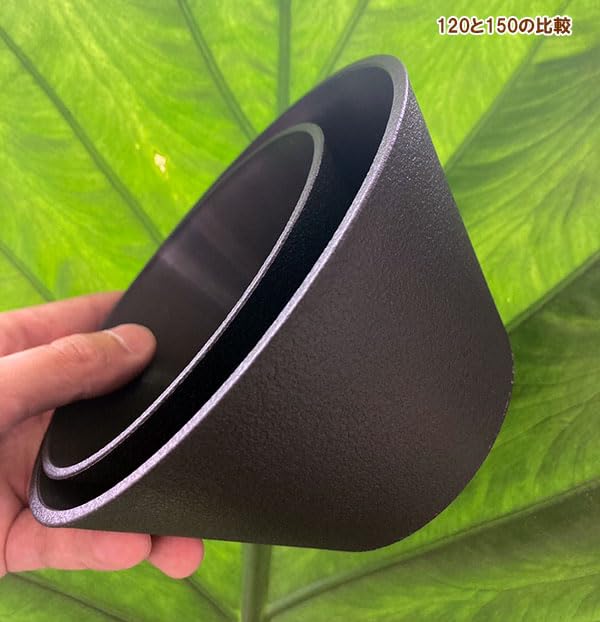 Amazon.co.jp: YU-120 MR 黒 10個セット[兼谷産業 鉢 アデニウムや 