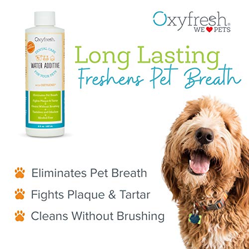 Oxyfresh Premium Pet Dental Care Solution Pet Water Additive: Best Way to Eliminate Bad Dog Breath and Cat Breath - Fights Tartar and Plaque - So Easy, just add to Water! Vet Recommended! 16 oz