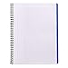 Rhodia 4 Color Book 9 in. x 11 3/4 in. Orange