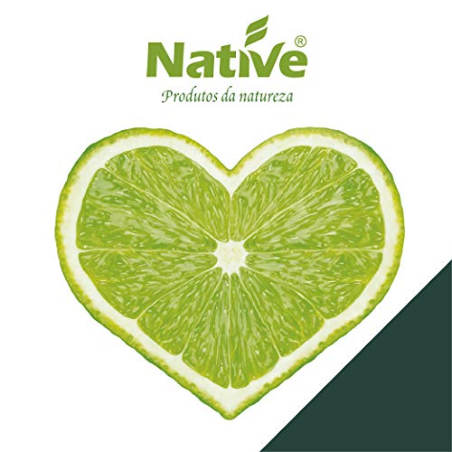 Limonada Orgânica Native 200ml