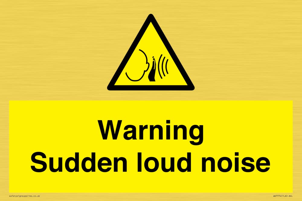 Warning Sudden loud noise Sign - 300x200mm - A4L