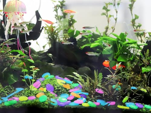 Image of 100 PCS Luminous Stones Glow in The Dark Rocks Mixed Color DIY Decorative Pebbles for Aquarium Fish Tank Garden Path Patio Lawn Yard Sidewalk Decor Colorful Glowing Cobbles Outdoor Indoor Ornaments