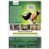 Kung Fu Panda 4 - Collector's Edition [DVD]