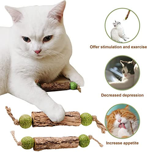 IJPDDRXYN Katzenminze Sticks, 3 Stück Matatabi Katzenspielzeug mit Ball Natürliches Zahnpflege-Set gegen Zahnstein Für Kauen, Beißen & interaktiven Spielspaß