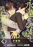 永遠じゃないと知っている【分冊版】13 (コミックMELO)