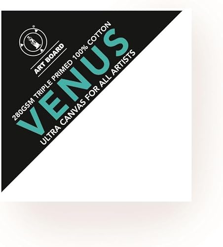 Art Board Venus Stretched Canvas 12X12