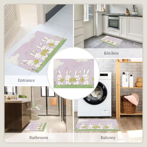 Tapis absorbant à profil bas pour éviter les traces de boue - 3