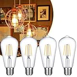 ST19 LED Bulb 6W Equivalent 60W 2700k Warm White...