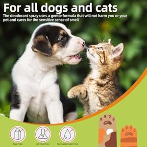 Pet Urine Odor Eliminator Spray for Home, Cat Litter Box Deodorizer Perfume, Dog Cologne Spray Long Lasting Male, Smelly Doggy Deodorant Spray for Furniture, 500ml/ 16.9oz, Green Tea