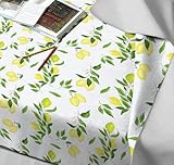 GEMITEX B0D1KDBJNJ lato 2