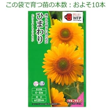 ひまわり Amazon.co.jp: ひまわり(SG): ミュージック