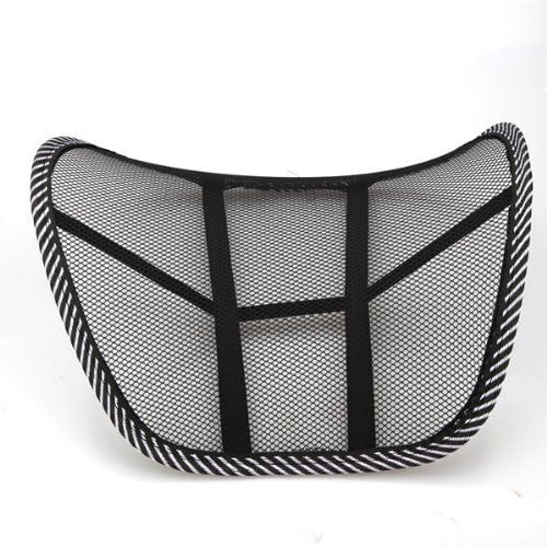 Posture Perfect Mesh Lumbar Support