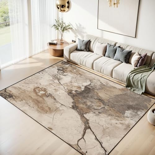Area Rug Old Cracked Beige Concrete Industrial Surface Faded Color