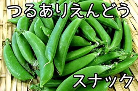 Amazon 生産農場直送 エンドウ苗 つるありスナック エンドウ 葉菜苗 4株入りパック プロ農家も使う葉菜苗 野菜苗 ガーデニング 家庭菜園 野菜 Amazon 生産農場直送 エンドウ苗 つるありスナック エンドウ 葉菜苗 4株入りパック プロ農家も使う葉菜苗 野菜苗 ガーデニング 家庭菜園 野菜