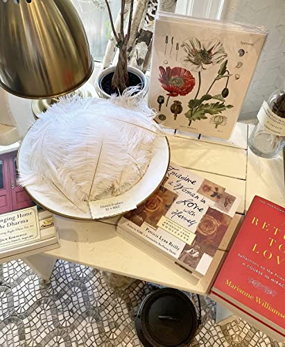 Piokio 20 Pcs Natura White Ostrich Feathers Plumes 6-8 Inch(15-20 Cm) Bulk For Diy Christmas Decorations, Wedding Party Centerpieces, Gatsby Decorations #TOP2