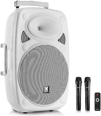 Enceinte Portable Puissante 1000w