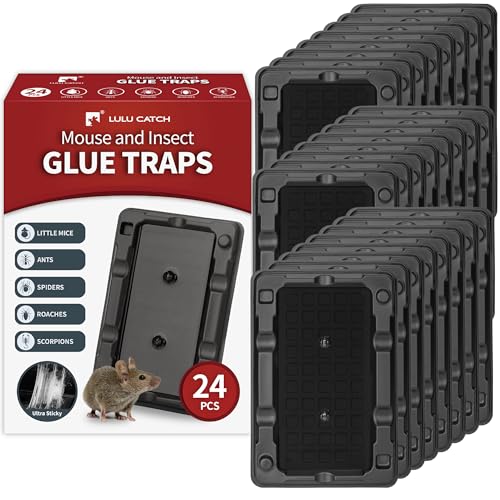 Image of LULUCATCH Mouse & Insect Traps 24 Pack, Heavier Sticky Traps with Non-Toxic Glue for Small Mice & Insects. Sticky Mouse Traps Indoor for Home, Easy to Set