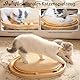 CheerPals Sisal Kratzbrett - 2-IN-1 Katzen Spielzeug, Massives Kiefernholz & Natürliche Sisal Pad & Katzenminzekugeln - 43x33x3cm Kratzmatte für alle Katzen Spielen, Entspannen