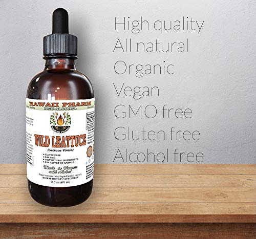 HawaiiPharm Wild Lettuce Alcohol-Free Liquid Extract, Organic Wild Lettuce (Lactuca Virosa) Dried Herb Glycerite Natural Herbal Supplement, USA 2x2 fl.oz
