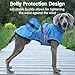 MANON ROSA Dog Winter Coat - 2 in 1 Windproof Dog Jackets with Detachable Layer for Small Medium Large Dogs - Cold Weather Pet Apparel (X-Large,Gray)