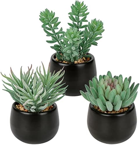 Alwaiiz 5er Set Künstliche Pflanzen - Mini Sukkulenten Schlangenzunge & Agave