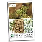Cumin Seeds for Planting, 300+ Seeds Per Packet, (Isla's Garden Seeds), Non GMO & Heirloom Seeds, Scientific Name: Cuminum cyminum, Great Herb Garden Gift