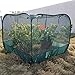Capot de protection des plantes d'insectes filet Convient for le jardin/extérieur couvert d'oiseaux d'insectes couverture anti-chat net de croissance des plantes net 100 × 100 × 75 cm (L x L x H)