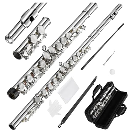VEDO Flauta C maior Transversal Kit - Boca Corte Biselado, Premium instrumento musical Chaves Ajustáveis, Estojo Portátil e Som Fluido Ideal para Bandas Marciais Presentes Musicais