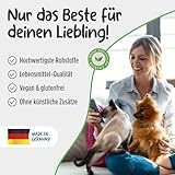 Pets Protect KARTOFFELFLOCKEN für Hunde & Katzen 1 kg | Barf Zusatz in Lebensmittel-Qualität | Deutsche Herstellung | Getreidefrei & glutenfrei | Flocken ohne künstliche Zusätze für Hund