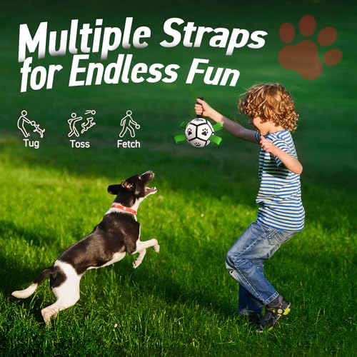 Image of QDAN Small Dog Toys, Outdoor Soccer Ball with Straps, Puppy Birthday Gifts | Interactive Training Soccer Toys for Tug, Dog Water Toy, Durable Puppy Balls for 5-20 lbs Small Dogs, Puppy Birthday Gifts