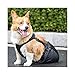 Drag Bag for Paralyzed Pets, Indoor Dog Wheelchair Alternative for Disabled Back Rear Legs Dog, Protects Chest and Limbs(X-Small)