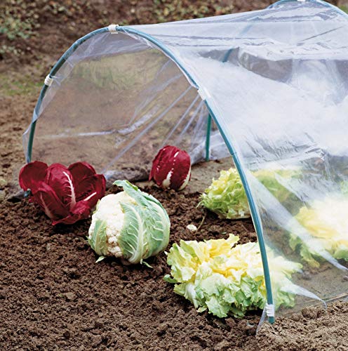 Verdemax 2539u00a02u00a0x 5u00a0m lámina de Polietileno Transparente de Efecto Invernadero