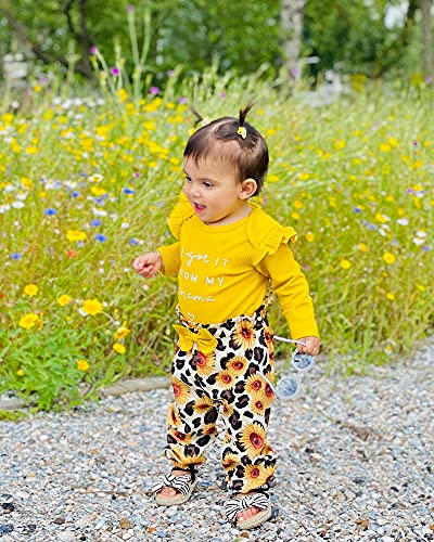 Image of DISAUR Baby Girls Clothes Newborn Infant Baby Girls Outfit Long Sleeve Ruffle Romper Floral Pants Headband Sets 0-18 Months