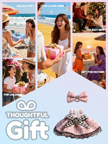 Image of Clothes for LABUBU 6.7inch (17cm) Doll, Cute Outfit Small Dress and Hairpin, Dress Up, Accessories (No Doll) (Pink Dress)