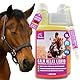 Magnesium Pferd hochdosiert Liquid & Paste mit Vitamin B12 1L 30ml Zusatzfutter Calm Anti Stress I Mittel Beruhigung Entspannung Nerven Pferd I Magnesium für Pferde L-Tryptophan komplex Horse Relax