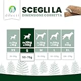 Dilecti B0C4F85BK2 lato 4