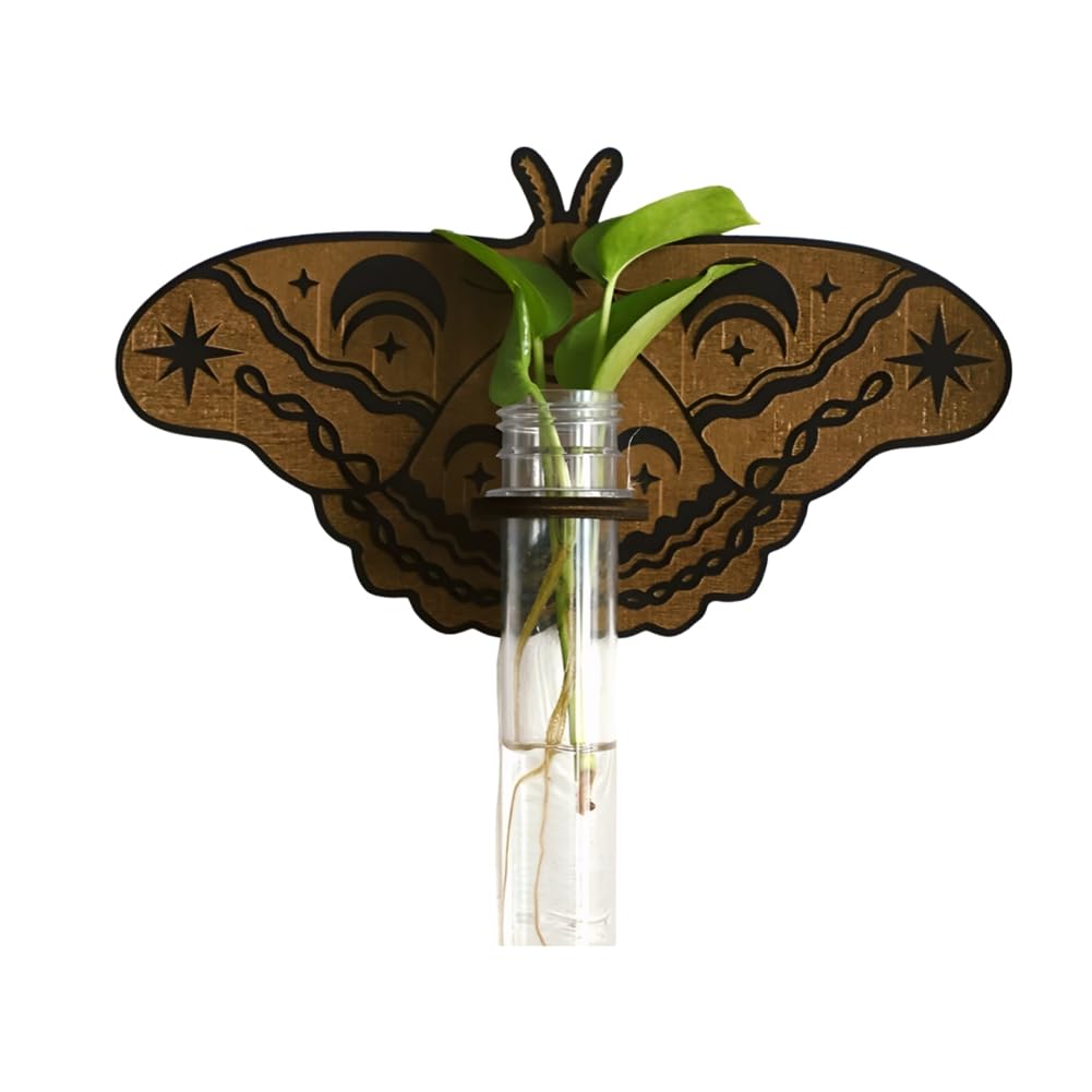 Tuidzljd Butterfly Wall Mounted Breeding Station, Wooden Hanging Plant Holders, Indoor Plants with Plastic Tubes, A