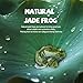 Natural Crystal Rough Stone Frog Carving Piece Xiuyan Jade Frog Wealth-Attracting Ornament Crystal Handicraft Table Decoration Ornament (One-PCS)
