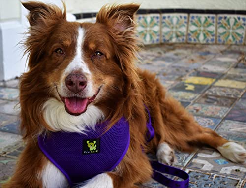 Image of Classic Dog Harness Innovative Mesh No Pull No Choke Design Soft Double Padded Breathable Vest for Eco-Friendly Easy Control Walking For Large Puppies Full size breeds & Extra Large Dogs (XXL, Purple)