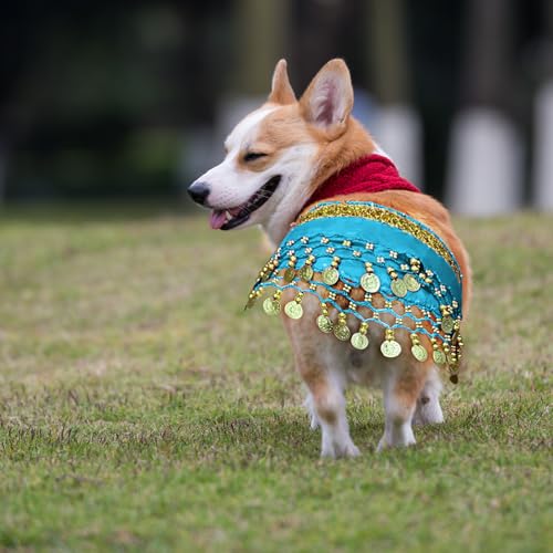 Disfraz divertido de bailarina para perro, tamaño M miniatura 6