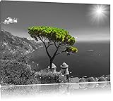 Pixxprint Mediteraner Baum am Mittelmeer B&W, Größe: 100x70cm, Leinwandbild, fertig gespannt, Wandbild, Dekoration, Kunstdruck, kein Poster