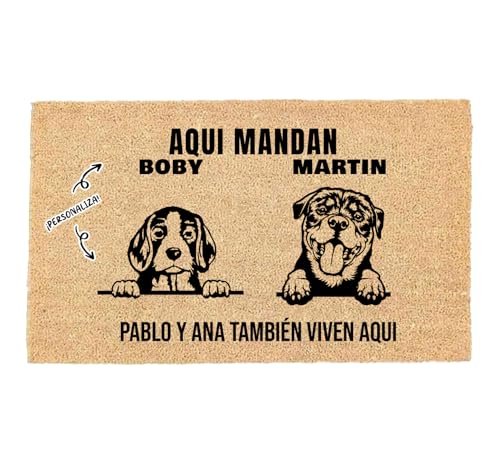 LUCA HOME - Felpudo Entrada casa Personalizados - Felpudo 2 Mascotas - Original y Divertido - Decoración hogar - Regalos Originales - Alfombra 33x60cm