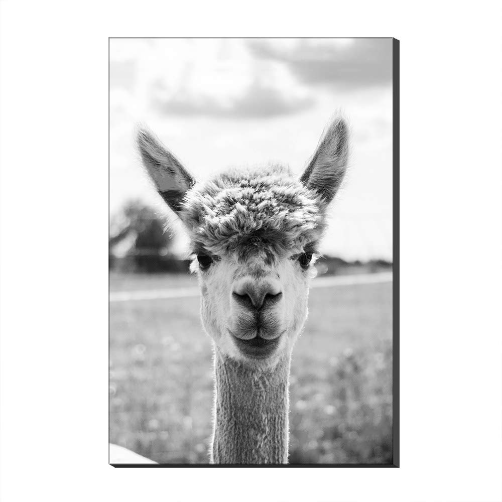 Impression sur toile alpaga moderne 70_x_100_cm pour décoration murale chic