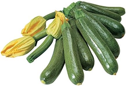 Burpee Fordhook Zucchini Organic Summer Squash Seeds 50 seeds