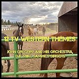  12 TV Western Themes
