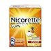 Nicorette Nicotine Polacrilex Gum, Fruit Chill, 2 mg, 100 Count Box