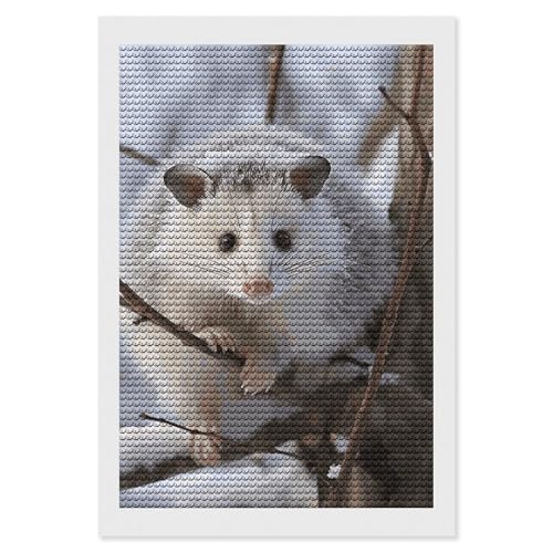 Peinture diamant 5D kit d'art complet cadeau adulte