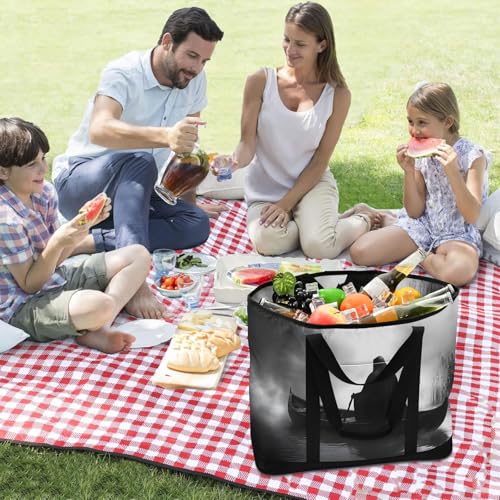 Gothic Boat Death Large Insulated Tote Bag for Grocery Shopping Reusable Tote Bags for Women Men, Cooler Bag with Zippered Top & Handles for Beach Picnic Travel3